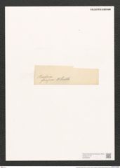 Pleurosigma formosum W.Sm. (de-Toni-Nr.: Genus 13, Species 1040) Zeichnungen Sammlung Grunow (NHMW-BOT-W0368964)